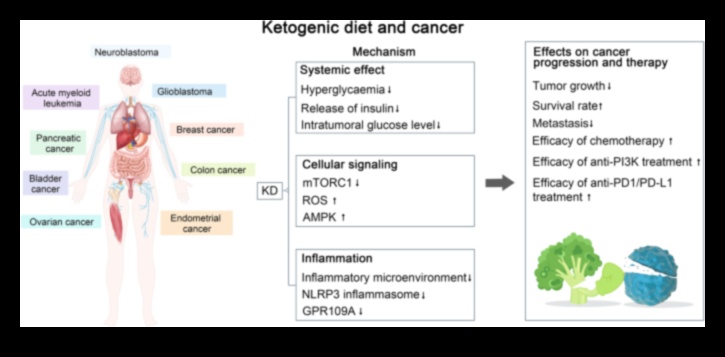 Keto ve Kronik Hastalık Önleme: Kapsamlı Bir Kılavuz